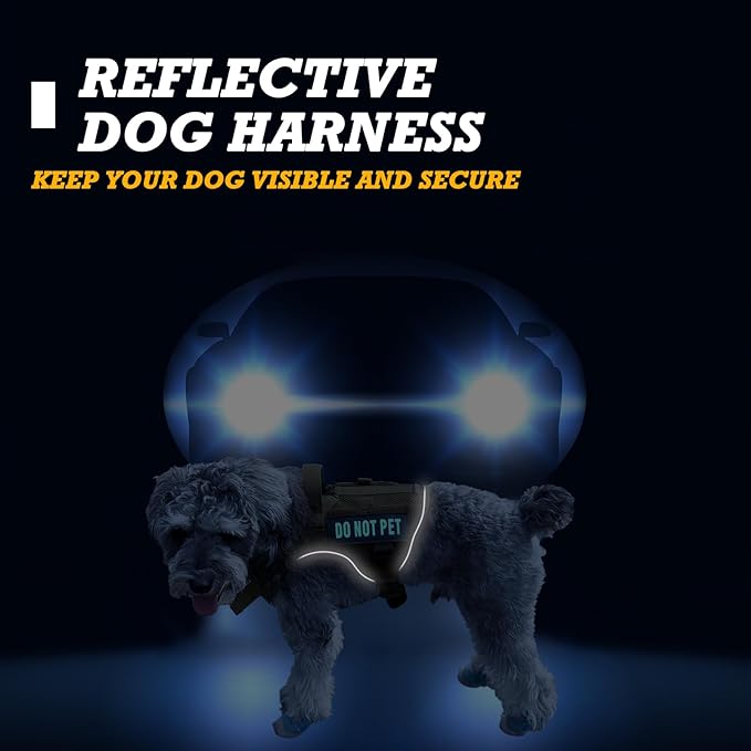 Tactical Dog Harness for Small and Medium Breeds, Air Dog Vest No Pull with Reflective Do Not Pet Patches, Breathable Dog Molle Vests for Training Walking Hunting Green