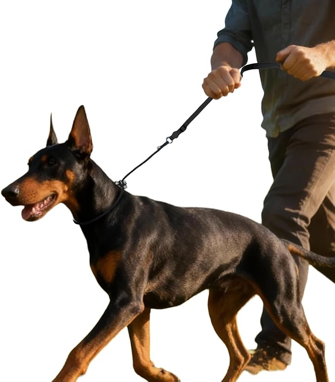 EVERKING Dog Slip Lead Dog Training Leash, No-Pull Slip Leash and Collar,Nylon Material Heavy-Duty and Durable,with Comfortable Padded Handle,Suitable for All Dogs (Black(4.9-5.9FT-Metal Buckle))