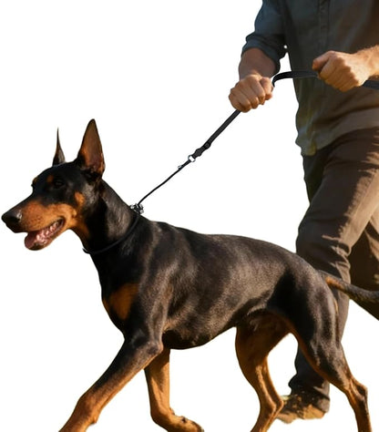 EVERKING Dog Slip Lead Dog Training Leash, No-Pull Slip Leash and Collar,Nylon Material Heavy-Duty and Durable,with Comfortable Padded Handle,Suitable for All Dogs (Black(4.9-5.9FT-Metal Buckle))