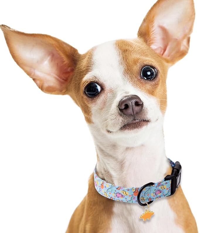 Faygarsle Dog Collar for Small Medium Large Dogs Cute Blue Puppy Collars for Male Dogs Dinosaur Patterned Pet Collars for Summer Spring Wedding Puppy Necklace Boy Dog Collar S