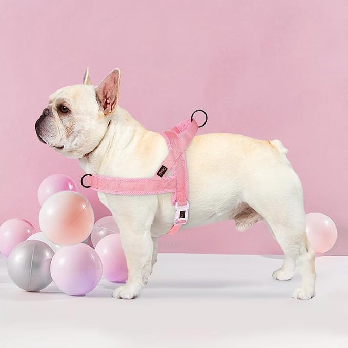 Didog No Pull Dog Harness with Breathable Mesh Padded, Quick Fit & Easy on Dog Vest Harness for Small Medium Large Dogs Training Walking(Pink,M)