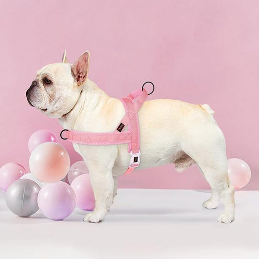 Didog No Pull Dog Harness with Breathable Mesh Padded, Quick Fit & Easy on Dog Vest Harness for Small Medium Large Dogs Training Walking(Pink,M)