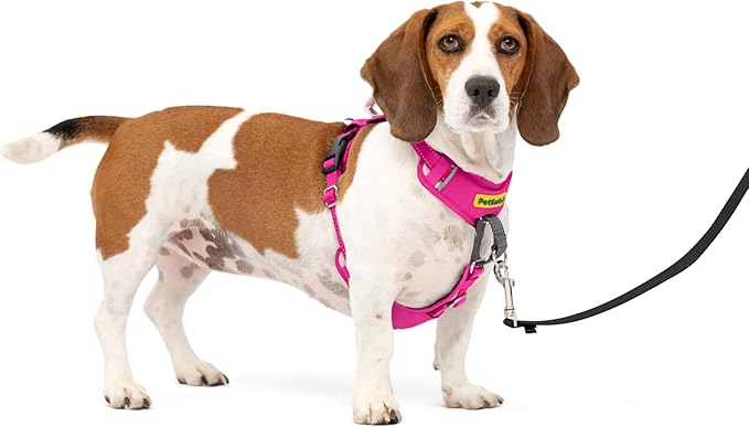 PetSafe Easy Walk Comfort No-Pull Dog Harness - Better Walk Training Harness - Full Body Padded Design - Durable Fabric - 5 Point Adjustable Fit - Everyday Leash Training - Pink - Small/Medium