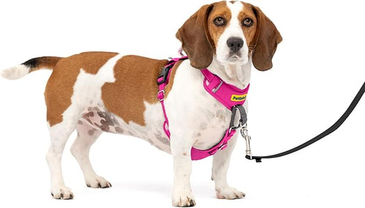 PetSafe Easy Walk Comfort No-Pull Dog Harness - Better Walk Training Harness - Full Body Padded Design - Durable Fabric - 5 Point Adjustable Fit - Everyday Leash Training - Pink - Small/Medium