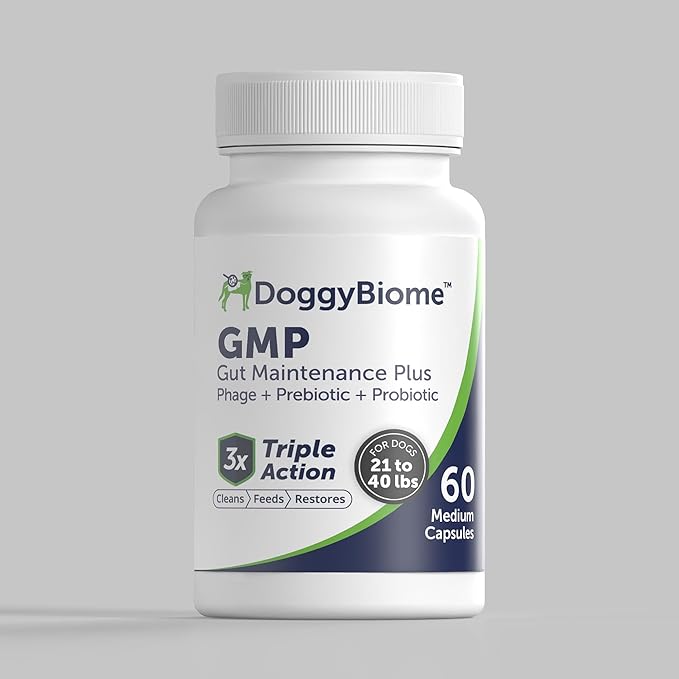 AnimalBiome Dog Probiotics - GMP Prebiotics and Probiotics - Reduce Diarrhea Flareups - for Dogs 21-40 lbs (60 Capsules) - DoggyBiome