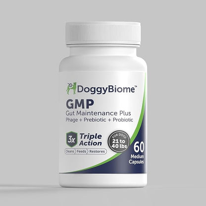 AnimalBiome Dog Probiotics - GMP Prebiotics and Probiotics - Reduce Diarrhea Flareups - for Dogs 21-40 lbs (60 Capsules) - DoggyBiome