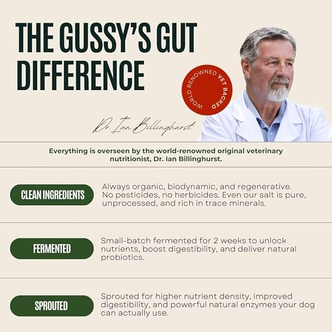 Gussy's Gut Youthful Grasses & Sprouts Dog Gut & Digestive Health Supplement- Human Grade Fermented Ingredients- Super Greens, Pre/Post & Probiotic All in One - Maintain Protocol