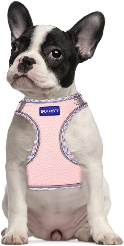 Step-in Mesh Dog Harness and Leash Set - Breathable, Reflective, Escape-Proof Vest - No Choke, Lightweight Air Mesh