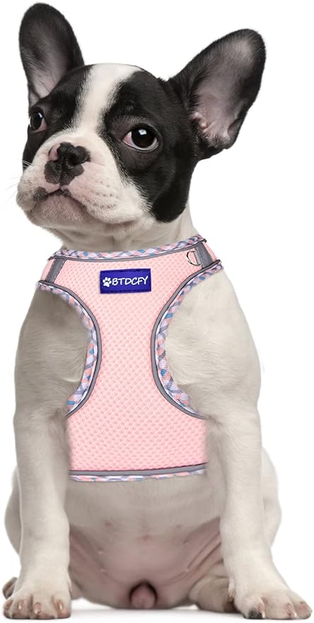 Step in Mesh Dog Harness and Leash Set - Breathable Air Mesh Reflective Escape Proof Vest - No Choke, Lightweight