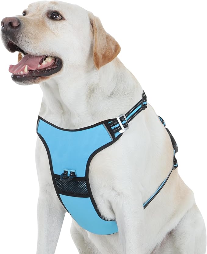 No Pull Dog Harness with 3 Snap Buckles,No Choke Front Lead pet Harness Reflective and Adjustable Soft Padded Vest for Small Medium Large Dog (Blue, Extra Large)