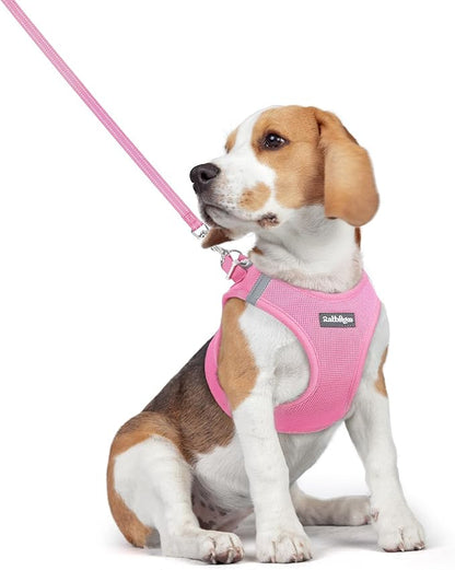 rabbitgoo Dog Harness Small Medium Sized and Leash Set, Step in Soft Light Puppy Vest, Breathable Mesh Pet Harness, Reflective for Safe Easy Walking, Light Pink L