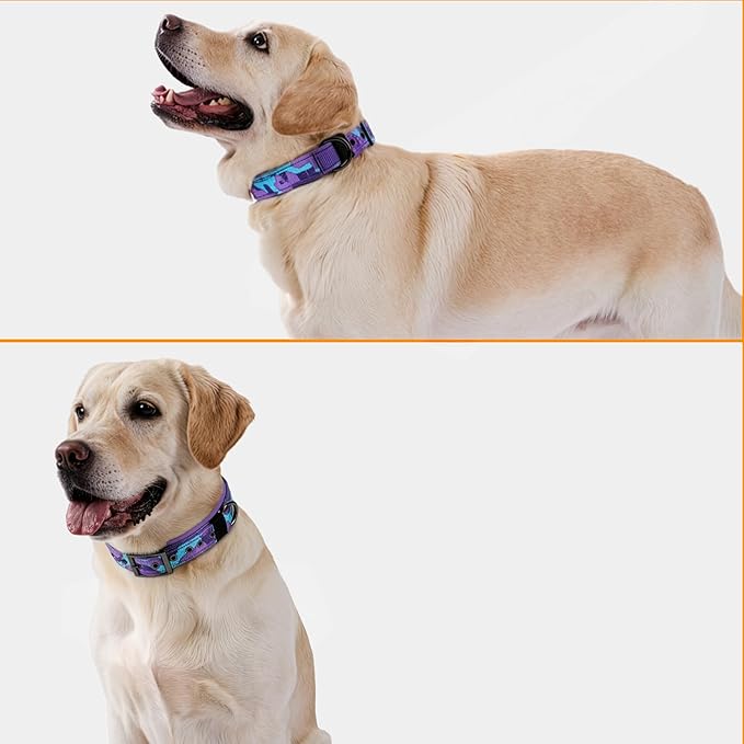 Annchwool Adjustable Dog Collar and 5 FT Leash Set with Heavy Duty Metal Buckle–Comfortable Lining Collar & Dual-Handles for Medium Large Dogs Walking,Running,Car Travel(Camo Purple Set,S:13''-17'')