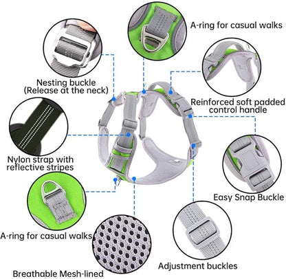 Paawpal Adjustable Dog Harness - No Pull, Reflective, Soft Padded for Small, Medium, Large Dogs - Includes Leash Green L