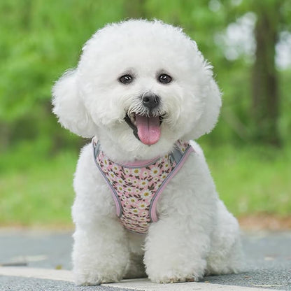 Step in Dog Harness and Leash Set, Flower Adjustable Easy Walk Puppy Harnesses, Soft Mesh No Pull Pet Vest Harness for Small Medium Dogs(Daisy, S)