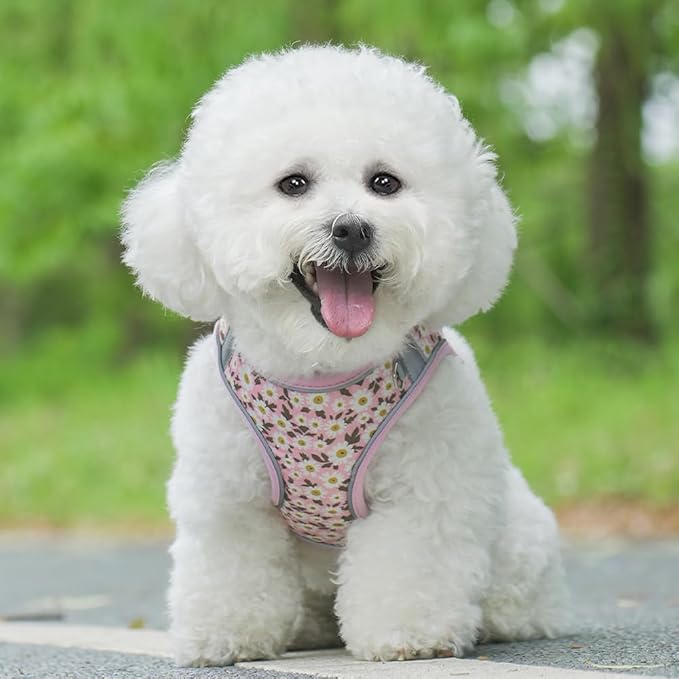 Step in Dog Harness and Leash Set, Flower Adjustable Easy Walk Puppy Harnesses, Soft Mesh No Pull Pet Vest Harness for Small Dogs and Cats(Daisy, XXS)