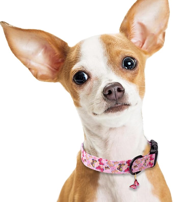 Faygarsle Dog Collar for Small Medium Large Dogs Cute Pink Puppy Collars for Female Dogs Butterfly Patterned Pet Collars for Summer Spring Wedding Puppy Necklace Girl Dog Collar M