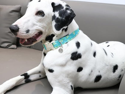 DOGWONG Cotton Dog Collar - Soft Natural Fabric Spring Summer Puppy Necklace for Small Medium Large Dog