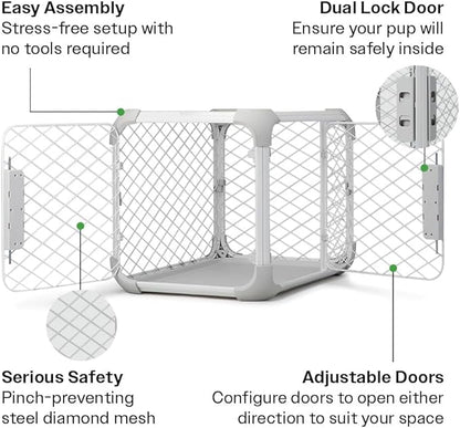 DIGGS Evolv Dog Crate - Slim, Durable Dog Kennel with Removable Ceiling Panel and Modular Design - Safe, Stylish, and Convenient (Ash, Medium)