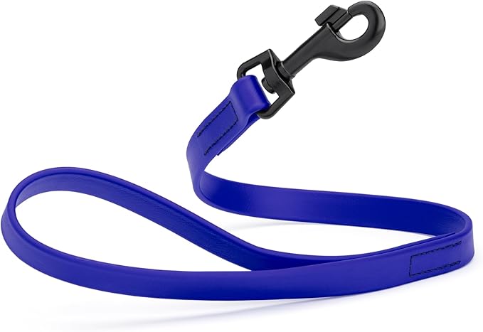Dogline Biothane Waterproof Dog Leash Strong Coated Nylon Webbing with Black Hardware Odor-Proof Easy to Clean High Performance for Small or Large Dogs Made in USA 2 ft Lead, Blueberry Royal