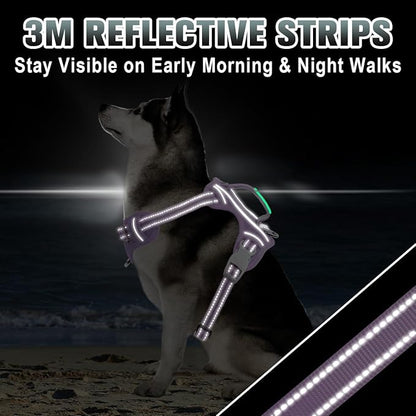 BARKBAY No Pull Dog Harness Large Reflective Dog Harness with Front Clip and Easy Control Handle for Walking Training Running with ID tag Pocket(Violet Purple,M)