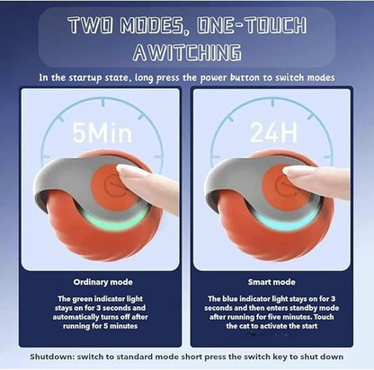AMATFFUG Speedy Tail 2.0 Cat Toy,Interactive Cat Ball,CatToys for Indoor Cats,Chewie Viral CatBall,Adjustable Sports Rolling Toy,Electric RollingBall Christmas Birthday Gift for Pets.(Orange)