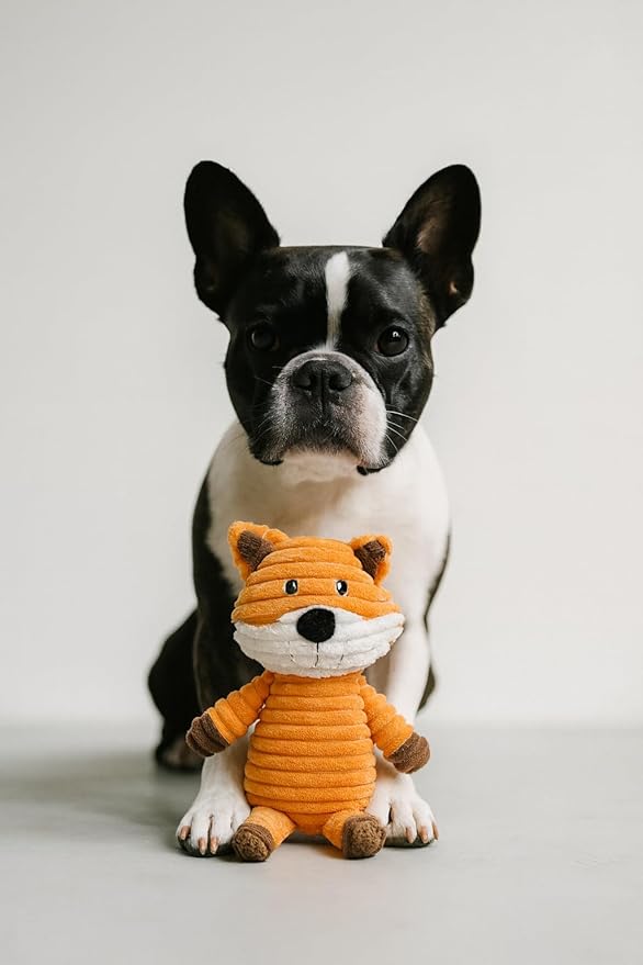 Jalousie Plush Toys Assortment Value Bundle Puppy Pet Mutt Squeak Toy for Medium Large Dogs (5 Pack Corduroy)