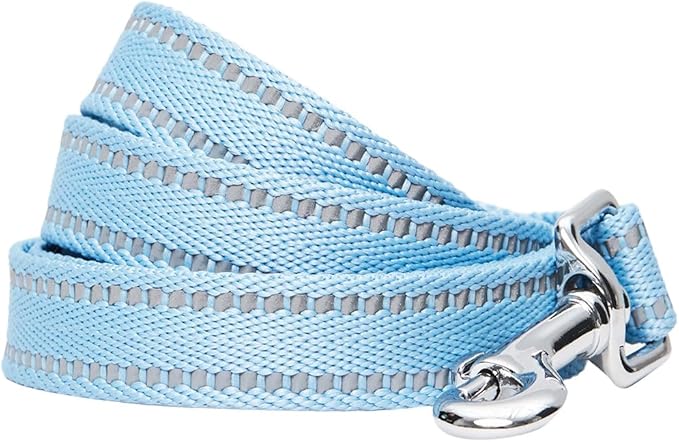 Blueberry Pet Essentials Reflective Dog Collar & Leash Set, Adjustable for Medium Dogs | Safe Walking Gear for Pet Parents, Puppy Training & Daily Use MediumDogs, Baby Blue