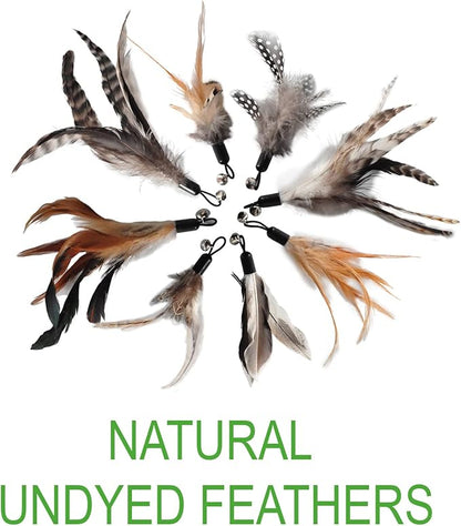 EcoCity Cat Toys - No Chemical Dyeing Cat Feather Toys for Indoor Cats - Include Cat Wand and Natural Feather Refills