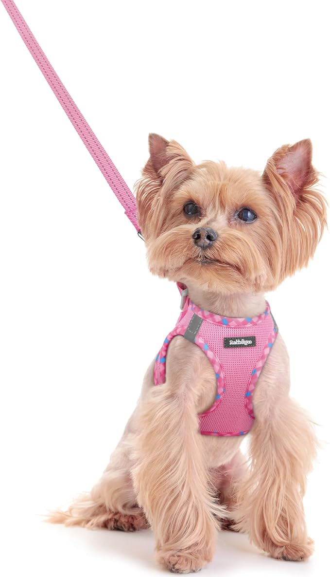 rabbitgoo Dog Harness Small Sized and Leash Set, Step in Soft Light Puppy Vest, Breathable Mesh Pet Harness, Reflective for Safe Easy Walking, Pink & Gray XXS