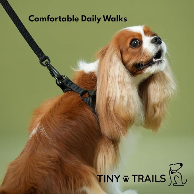 Step-in Dog Harness for Puppies and Small Breeds – Adjustable No-Pull Soft Vest, Secure, Lightweight & Comfortable Premium Nylon, Black (Small – 14"-20" Chest Girth)