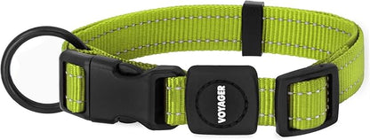 Best Pet Supplies Voyager Reflective Dog Leash or Collar with Neoprene Handle, for Small, Medium, and Large Breed Puppies, Cute and Heavy Duty for Walking, Running and Training - Lime Green, M