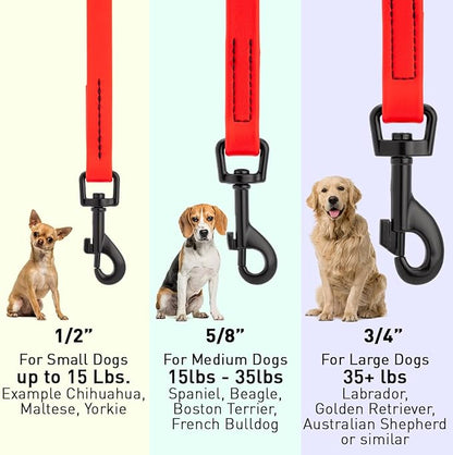Dogline Biothane Waterproof Dog Leash Strong Coated Nylon Webbing with Black Hardware Odor-Proof Easy to Clean High Performance for Small or Large Dogs Made in USA 4 or 6 ft Lead, Cherry Red