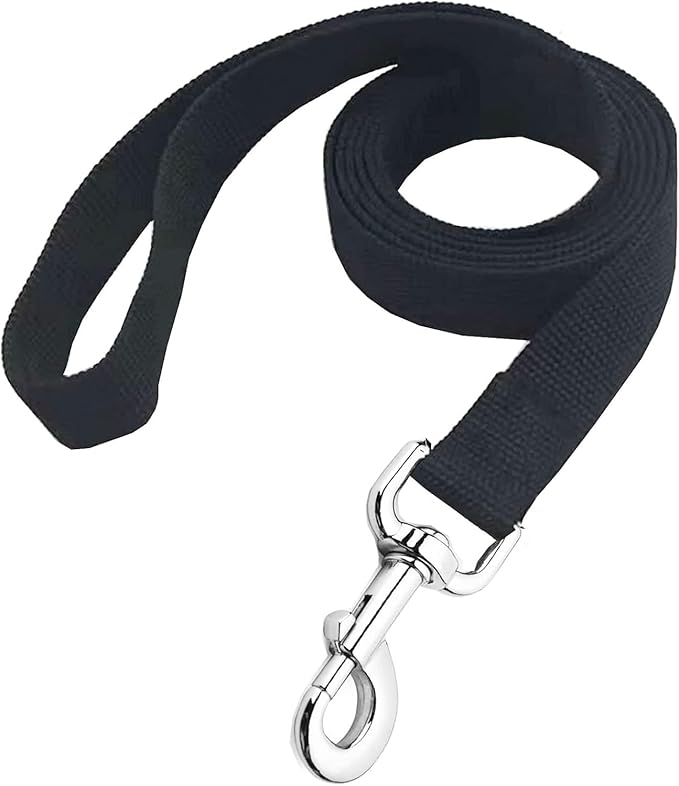 Strong Nylon Dog Leash, 4FT/ 5 FT/ 6FT Dog Leashes for Small Medium Dogs