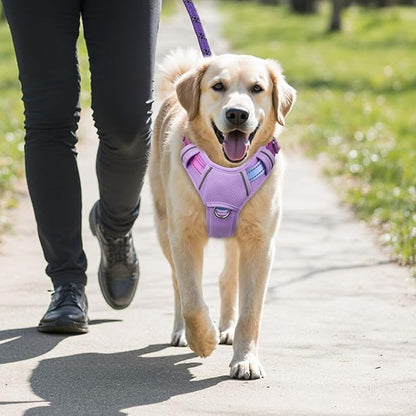 BARKBAY No Pull Dog Harness Large Reflective Dog Harness with Front Clip and Easy Control Handle for Walking Training Running with ID tag Pocket(Lavender Sky,M)