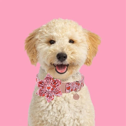 UP URARA PUP Valentine Dog Collar with Flower, Heart Flower Collar for Puppy Girl Boy Dog or Cat, Comfortable Dog Collar Flower with Durable Metal Buckle, Cute Pet Collar,XL, Neck 16-26in