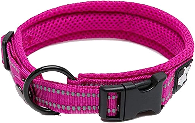Truelove Dog Collar Reflective Premium Duraflex Buckle,High Grade Nylon Webbing No Choke Basic Collars TLC5011(Fushcia,XL)