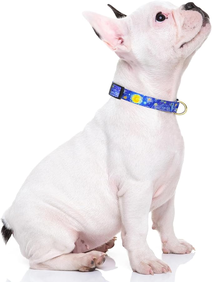 Rnivvi Dog Collar for Small Dogs, Cute Heavy Duty Adjustable Puppy Collar with Quick Release Buckle for Girl & Female, Pet Accessories for Walking Running, XS Length 5/8" Width, Van Gogh Starry Night
