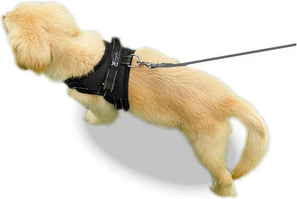 No Pull Reflective Adjustable Dog Harness With Handle- Comfortable Soft All Weather Mesh, Easy On Puppy Harness For Small Medium and Large Dogs (Black) X-Large