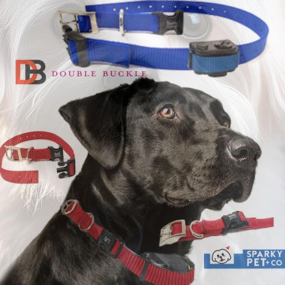 Sparky Pet Co - ECollar Replacement Strap - Easy Release Double Buckle Dog Collar - Rugged Nylon - Adjustable - D Ring - Quick Release Metal Clasp - for Invisible Fence Systems - 1" x 28" - Purple