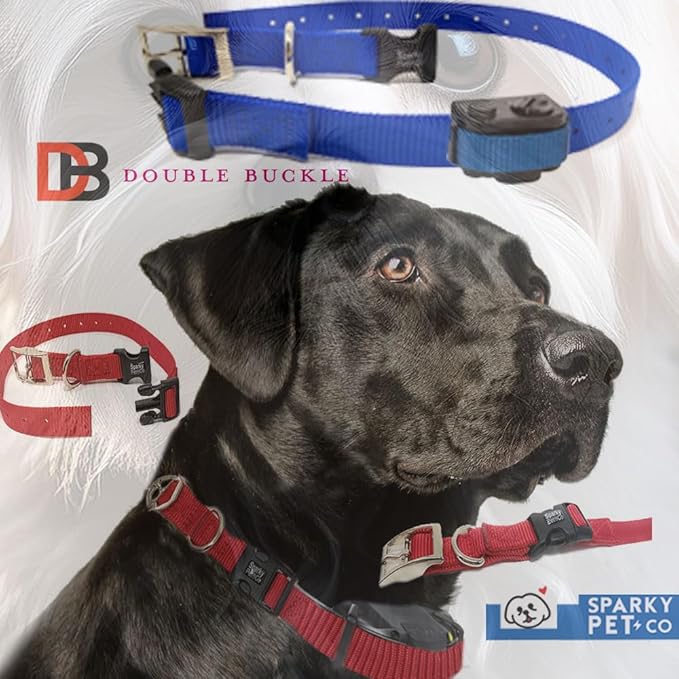 Sparky Pet Co - ECollar Replacement Strap - Easy Release Double Buckle Dog Collar - Rugged Nylon - Adjustable - D Ring - Quick Release Metal Clasp - for Invisible Fence Systems - 3/4" x 24" - Green