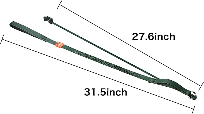 Howgo Dog Slip Lead Dog Leash, Training Lead, No-Pull Slip Leash and Collar, Heavy Duty & Durable Nylon, Padded Handle, for All Breeds (MintGreen, 5FT)