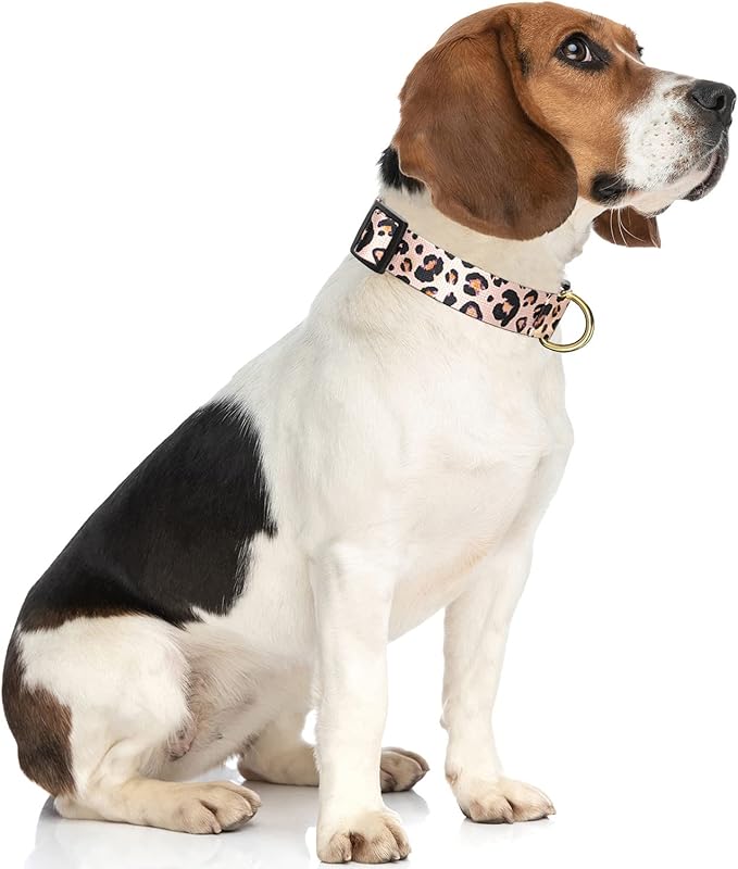 Rnivvi Dog Collar for Medium Dogs, Cute Leopard Heavy Duty Adjustable Puppy Collar with Quick Release Buckle for Boy Girl & Female, Pet Accessories for Walking Running, M Length 1" Width, Pink