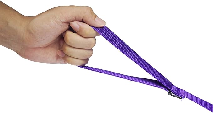 Siumouhoi Strong Durable Nylon 10ft Long Dog Training Leash, Traction Rope, 1 Inch Wide, for Small and Medium Dog (Purple, 10 Feet)