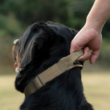 TSPRO Premium Dog Collars Tactical Dog Collar with Handle and Heavy Duty Quick-Release Metal Buckle Durable Thick and Adjustable for Medium to Large Dogs (Leopard Print M)