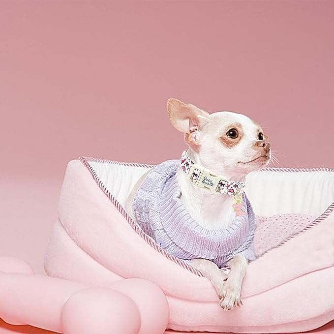 Dog Collar-Pink Dinosaur Print Adjustable Pet Collars Cute Soft Comfortable Cotton Puppy Collar Durable Gift for X-Small Dogs