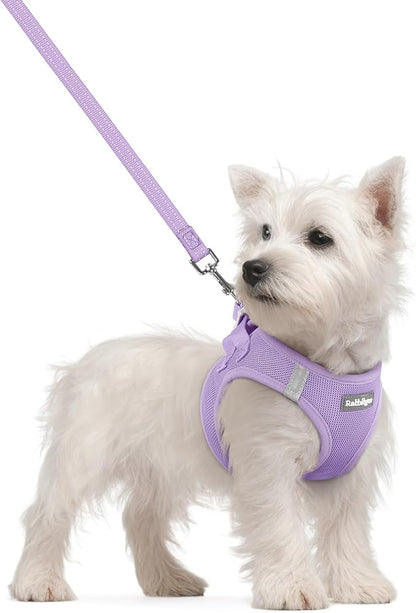 rabbitgoo Dog Harness Small Sized and Leash Set, Step in Soft Light Puppy Vest, Breathable Mesh Pet Harness, Reflective for Safe Easy Walking, Light Purple S