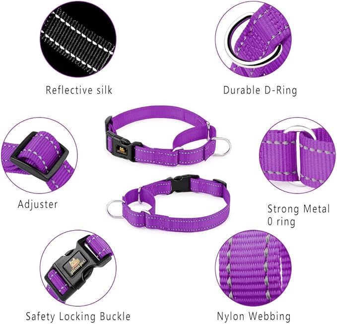 PLUTUS PET Reflective Martingale Collar with Quick Snap Buckle,No Pull Dog Choker Collar for Small Medium Large Dogs,L,Purple