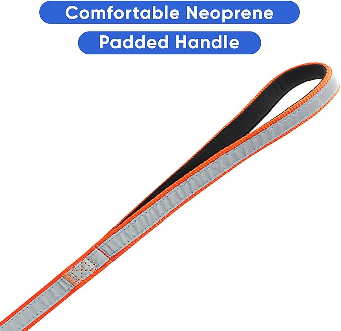 Pawtitas Personalized Orange Dog Leash 6 ft Custom ID Lead for Dogs & Puppies Reflective Comfortable Padded Handle Embroidered Name & Phone Number