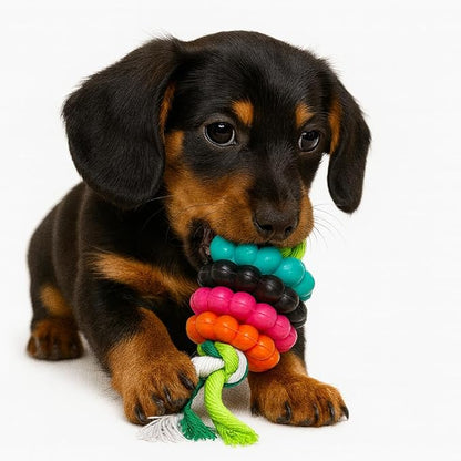 Jalousie Multipack Dog Squeaky Toys Bulk Bundle Pup Toy - Puppy Toys for Pets for Small Medium Breed (30 PCs Gift Basket)