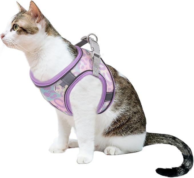 Step in Mesh Dog Harness and Leash Set - Breathable Air Mesh Reflective Escape Proof Harness Vest - No Choke, Lightweight - L(Neck:13.5"-15.5", Chest:18"-19.5"), Purple